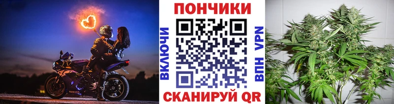 Купить закладку Новосиль Амфетамин  Меф мяу мяу  Cocaine  ГАШИШ  Метадон  Канабис 
