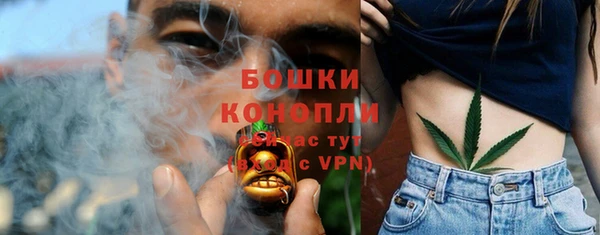 шишки Куйбышев