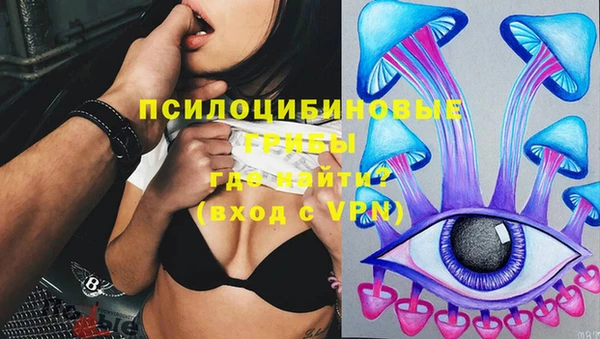 стафф Вязники