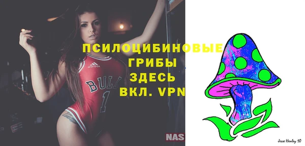 шишки Куйбышев