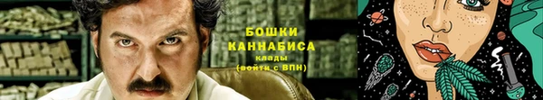 молекула духа Кулебаки