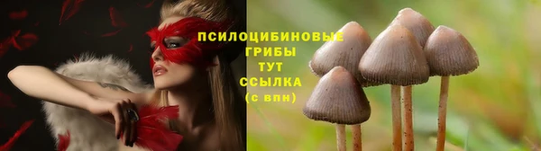молекула духа Кулебаки