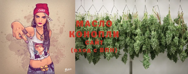 молекула духа Кулебаки