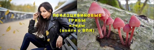 молекула духа Кулебаки
