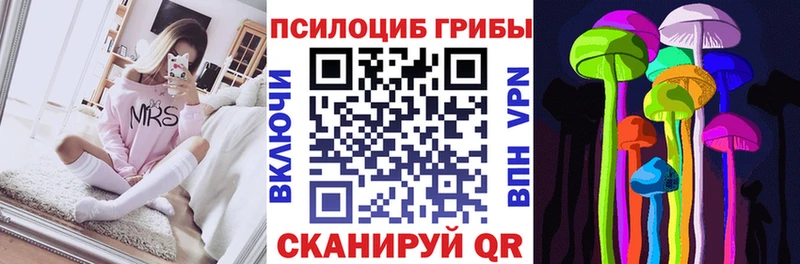 Галлюциногенные грибы прущие грибы  omg   Новосиль  купить  