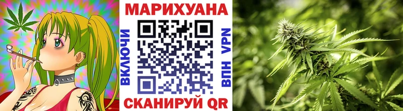 Марихуана сатива мега маркетплейс Новосиль